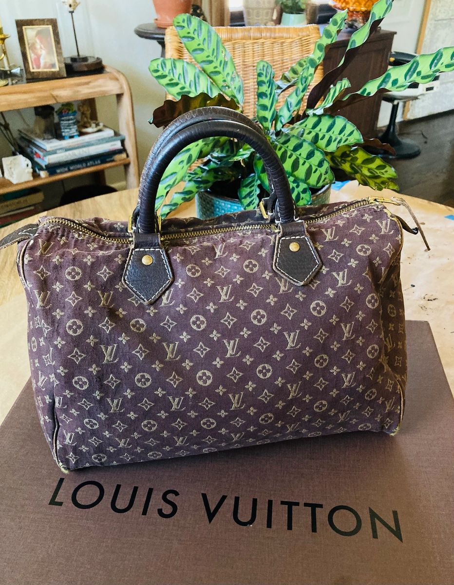 Vintage Louis Vuitton Canvas Idylle Speedy