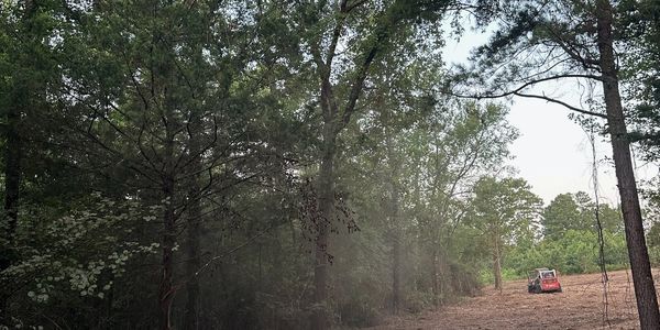Cleared path with skid steer mulcher in the forest.
