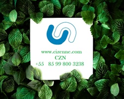 Aceitamos cartões em 3X sem juros e pix com 10% de desconto.