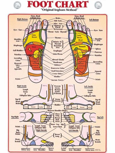 International Foot Chart for Reflexology. Showing the points in the feet that link to the body. 