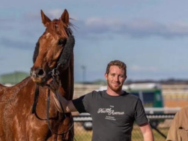 Man standing next to a brown horse outdoors on a sunny day.