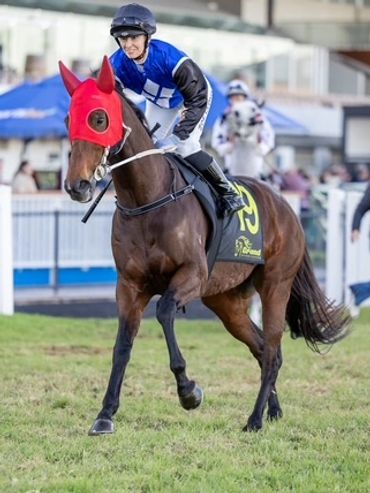 Jockey riding a racehorse with a red hood on the track.
