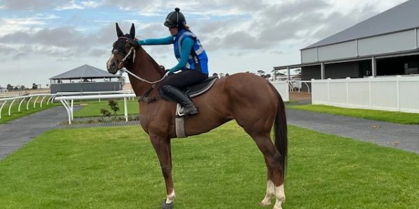 A jockey riding a horse on a green field near stables.