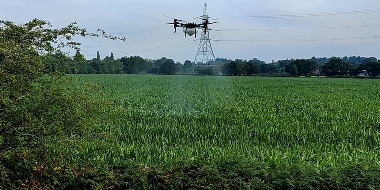 Drone spraying crops in a green field.