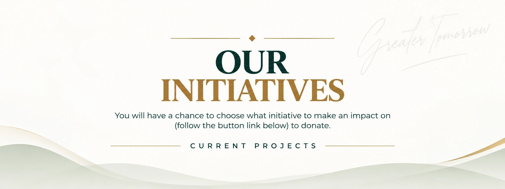 Information about choosing initiatives to donate to.