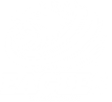 Winner Eagles English School