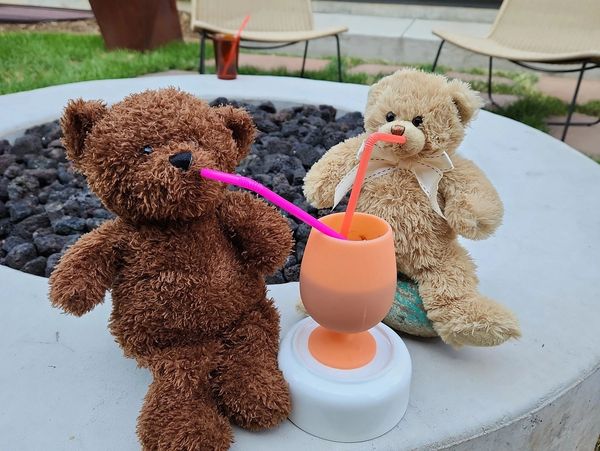 Just 2 bears having a drink