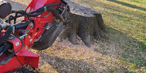 Stump grinding in Trumbull County Ohio