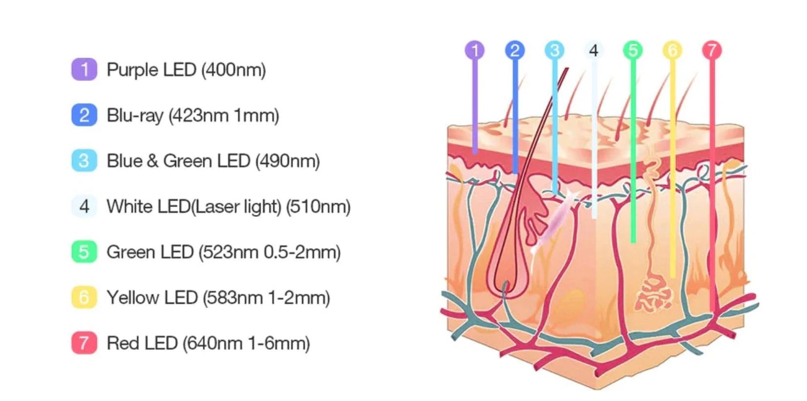PDT (Photodynamic Therapy) or LED (Light Emitting Diode) Therapy.