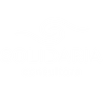 Consultora Solidaria
