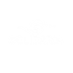 Consultora Solidaria