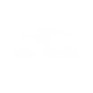 Consultora Solidaria