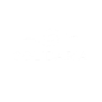 Consultora Solidaria