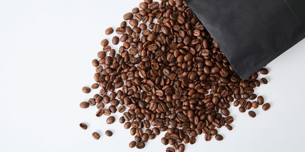 Sansanora Modern Kahve