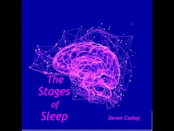 Devon Czekaj Stages Of Sleep