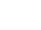 Lonewater Consulting
