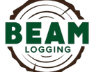 Beam Logging