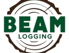 Beam Logging