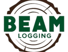 Beam Logging