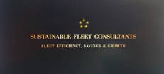 sf-consultants.com