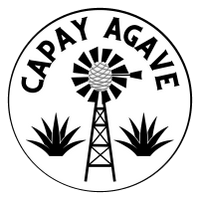 Capay Agave