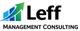 Leff Management CONSULTING
