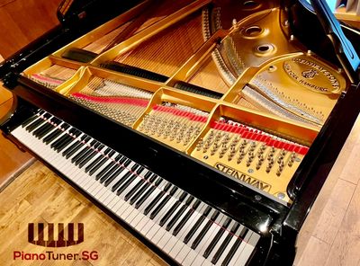Pitch Raise Precision Fine Tuning of a Steinway Grand