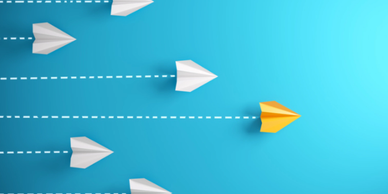 Leadership and strategy advice