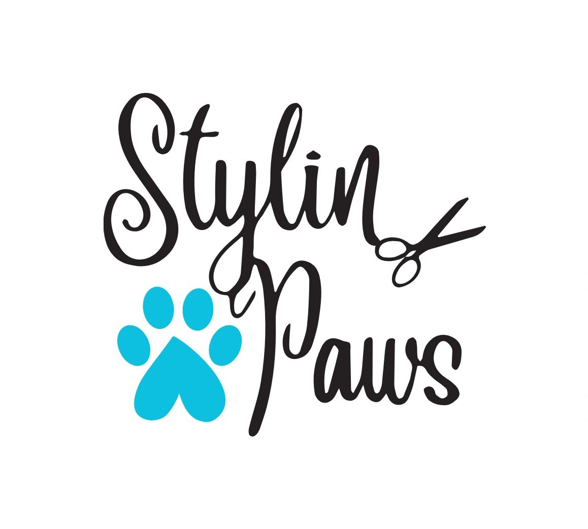 Stylin Paws Grooming Salon  Pet Supplies LLC