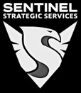 Sentinel Strategic Services