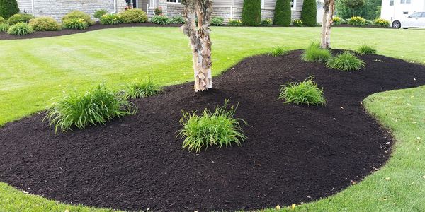 Newly installed mulch