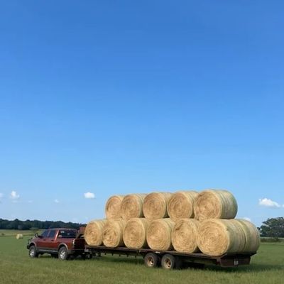 Hay bales on truck - Texas hay for sale 