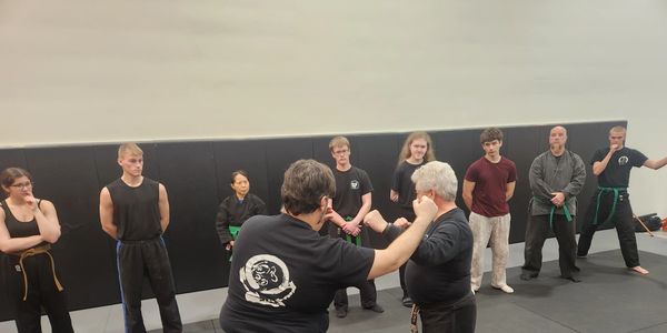 Martial arts class with participants observing an instructor demonstrating a technique.