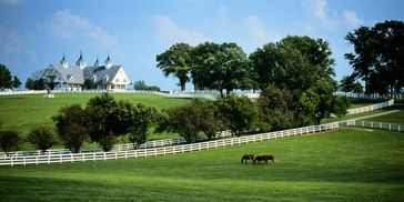 A beautiful horse farm in Lexington Kentucky