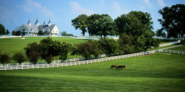 A scenic horse farm with white fences and a large house on a hill.