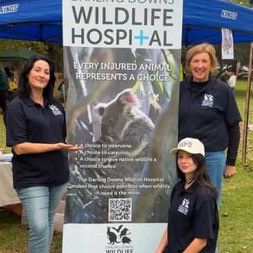 Three people pose beside a wildlife hospital information banner with a koala image.