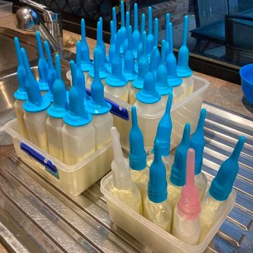 Bottles with blue and pink nozzles stored in plastic containers on a kitchen sink.