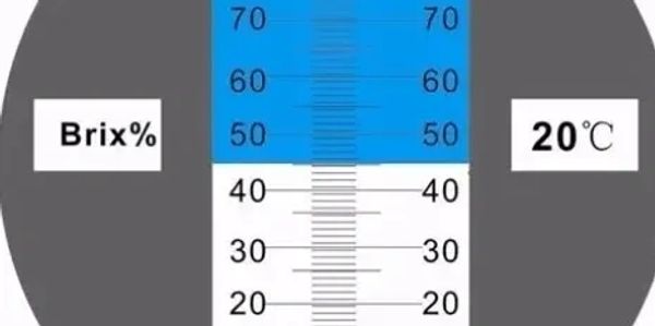 BRIX% is a graduation of the density of liquids, juices or sap, measured at 20 C, with pure water.  