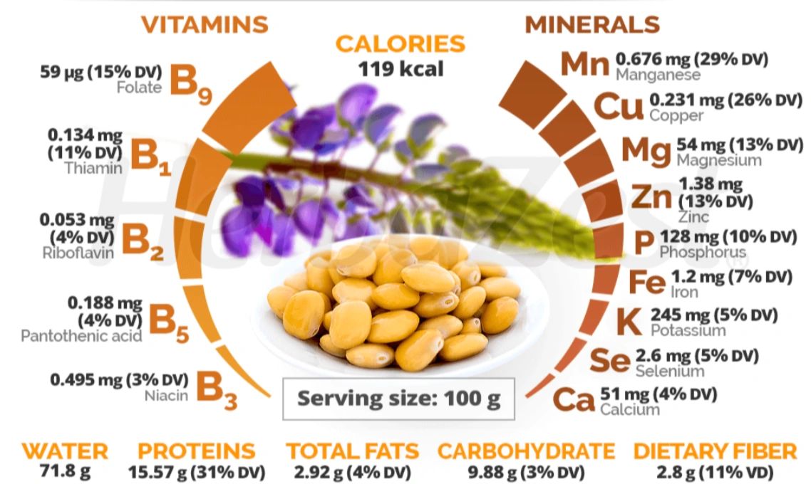 Lupini Beans Nutrition