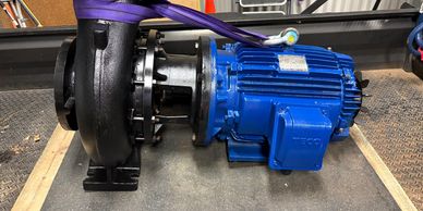 Blue electric motor attached to a black industrial pump with a purple strap.