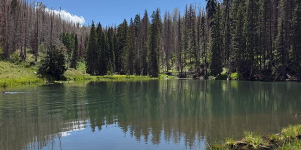 A photo of a lake with clearish water that is tinted a green blue