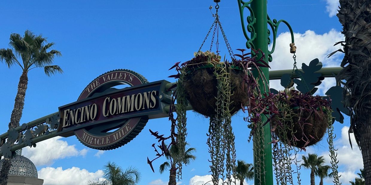 Downtown Encino Los Angeles Encino Commons Sign