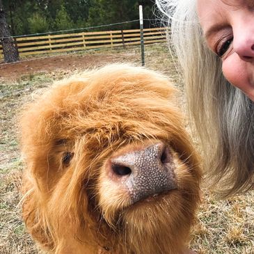 Close-up of a fluffy Highland cow and a smiling woman outdoors.