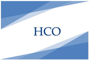 Harivyasi & Co. 
Company Secretaries