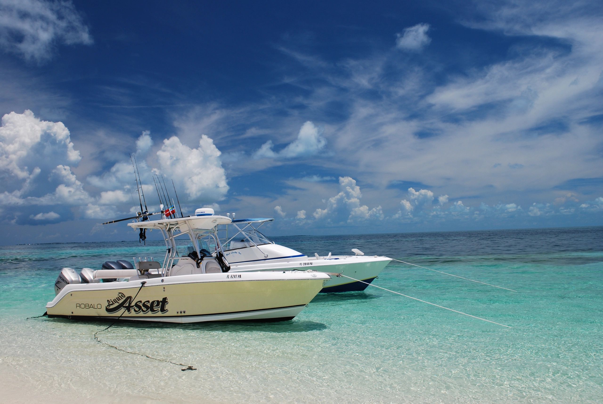 Mad Dog Fishing Charters Fishing Charters, Boat Charters