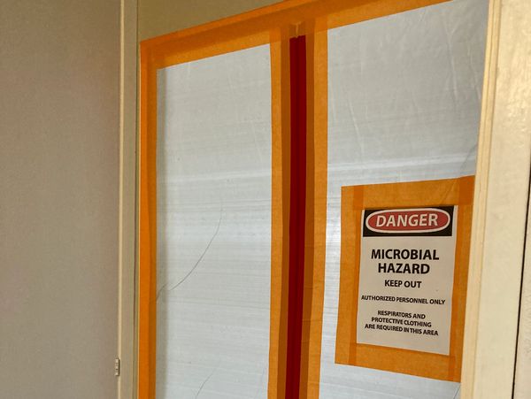 Mold damage Cleanup Company Chino Hills CA
