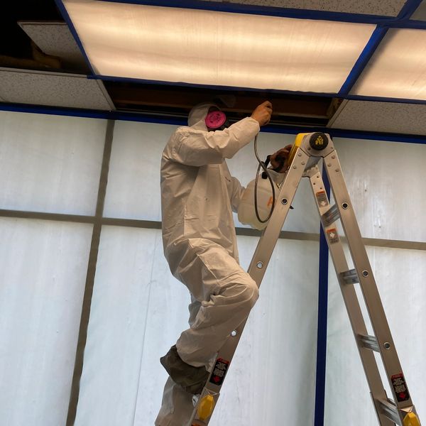 Mold Removal & Remediation - Water Damage Restoration - Disinfecting & Cleaning  Services Near You 