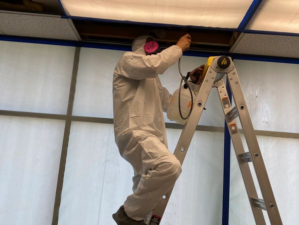 Mold Remediation Company Banning CA