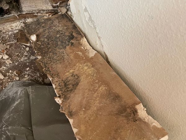 Mold Removal - Water Damage Restoration - Cleaning & Disinfecting Services San Bernardino County