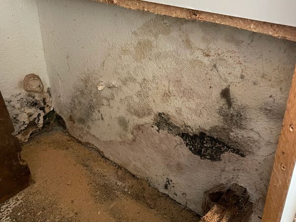 Mold Removal & Remediation - Water Damage Restoration - Cleaning & Disinfecting Services Murrieta CA
